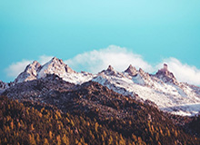 詹姆斯回答小球迷提问，爆梗“Taco Tuesday”引台下一片欢呼